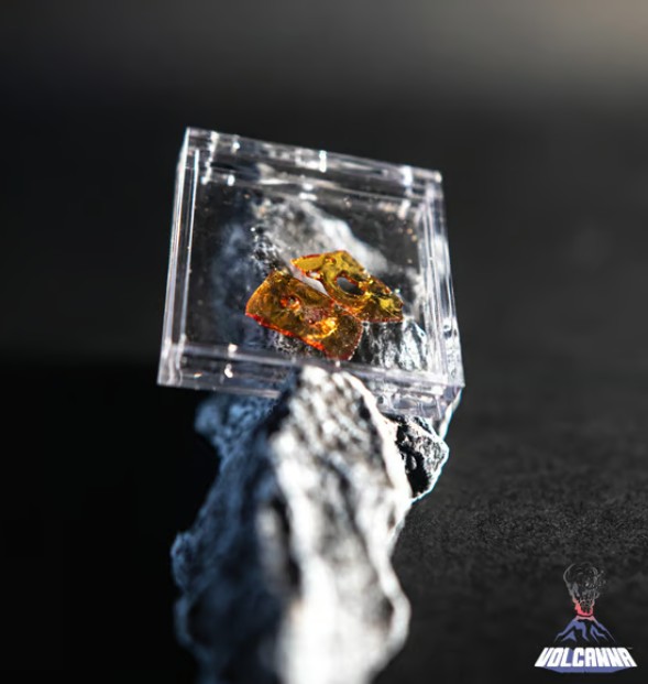 Don Mega | Shatter | .5g
