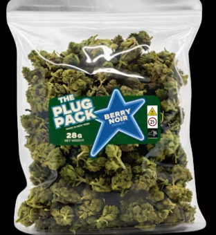 The Plug Pack Berry Noir Flower