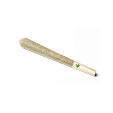 Preroll - Lee Roy TK #5
