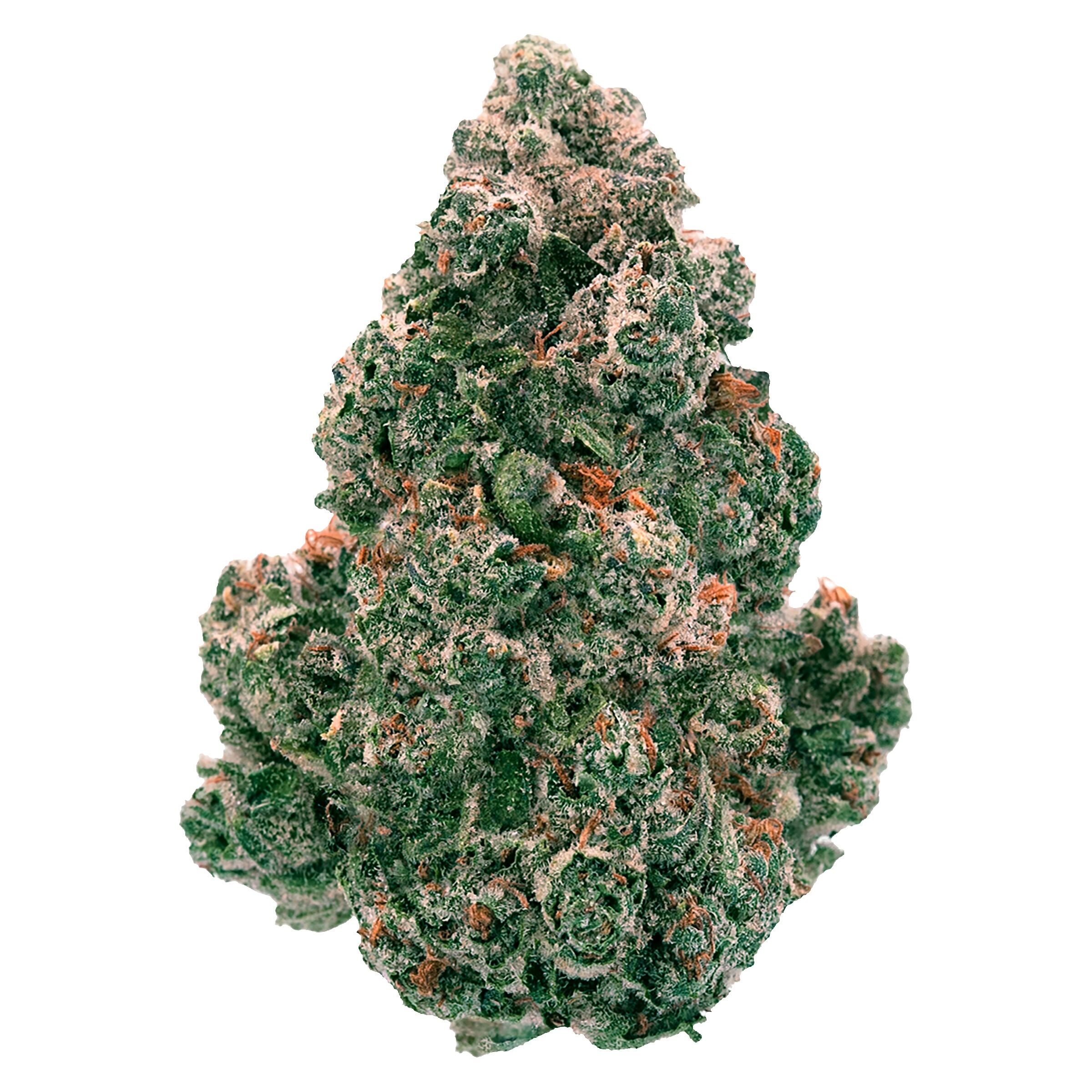 Back Forty - Liquid Imagination (Blue Zktlz x Jet Fuel Gelato) - Hybrid