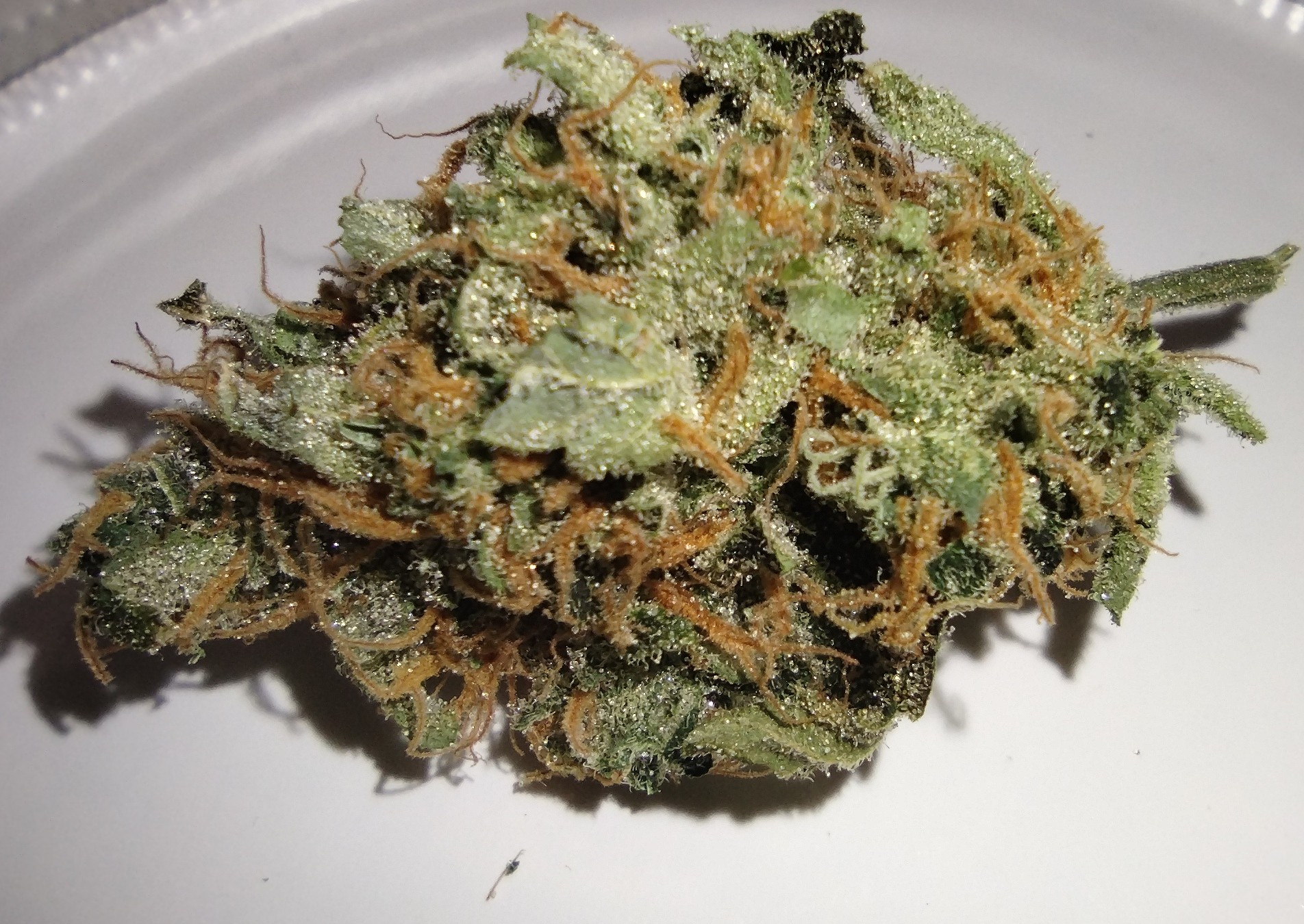 Dakota Natural Growers - Honey Badger Haze - 3.5g - Flower