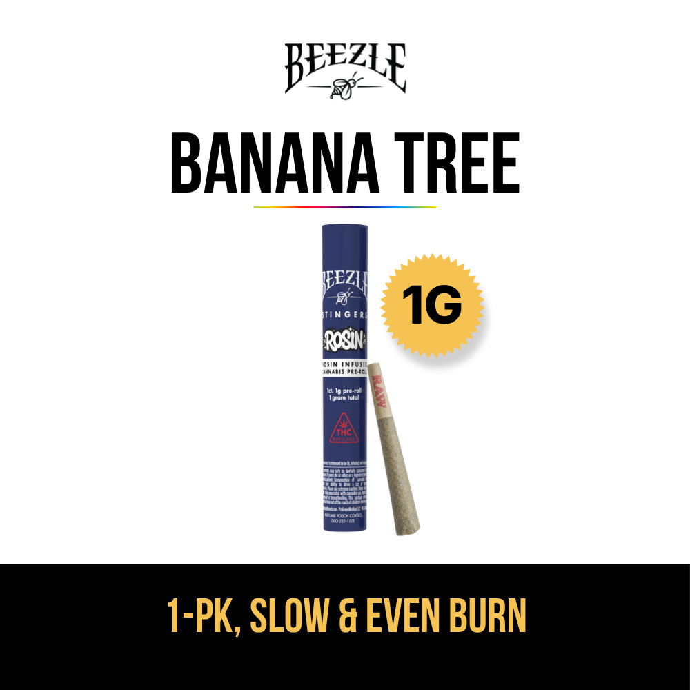 Banana Tree 1G Live Rosin Infused Stingers