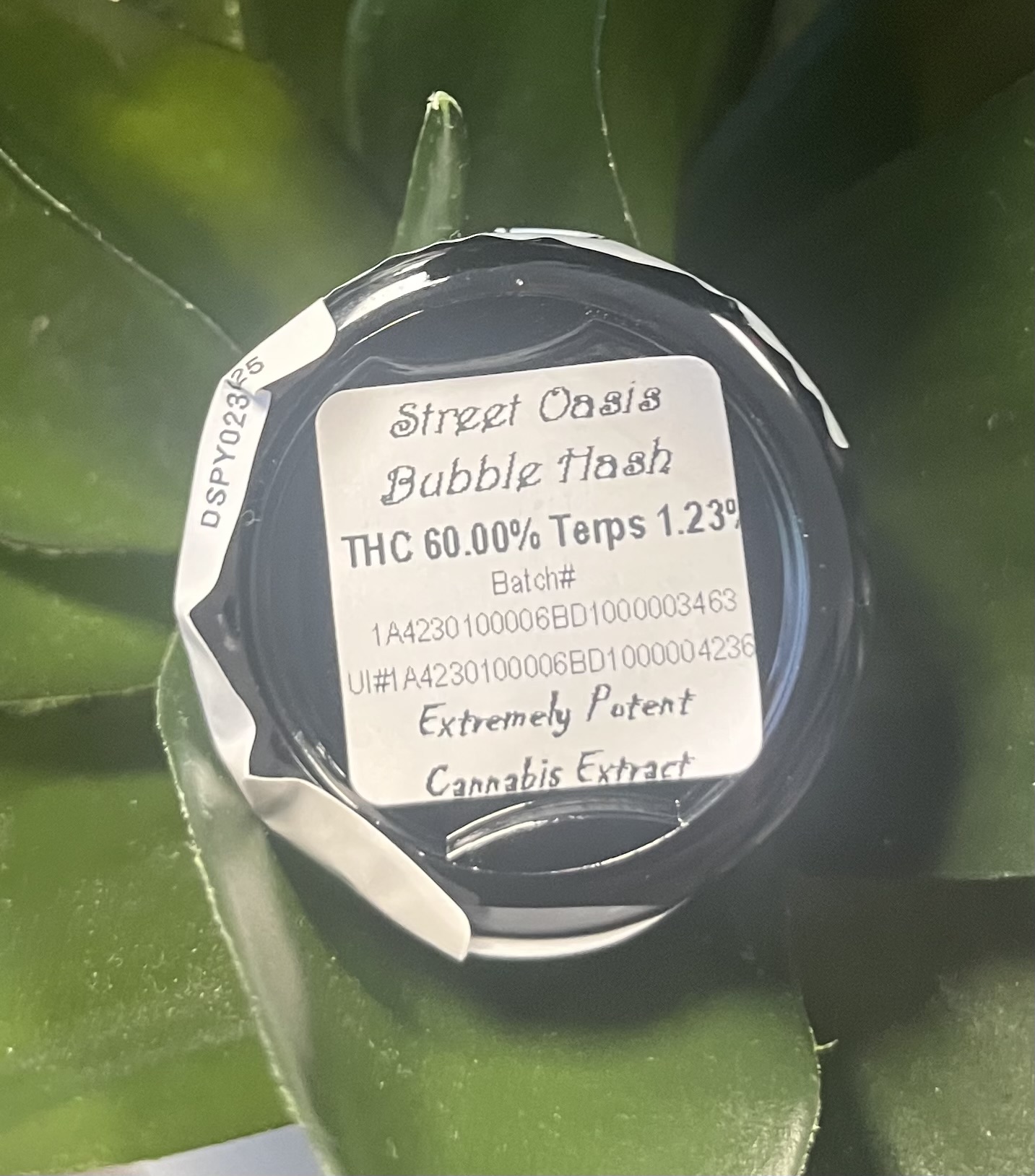 Lion Street Oasis Bubble Hash