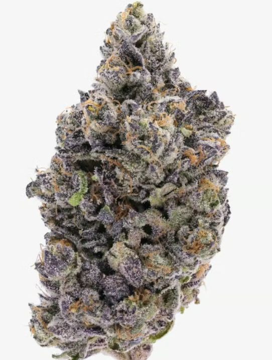 Fresh | Marc Henry 3.5