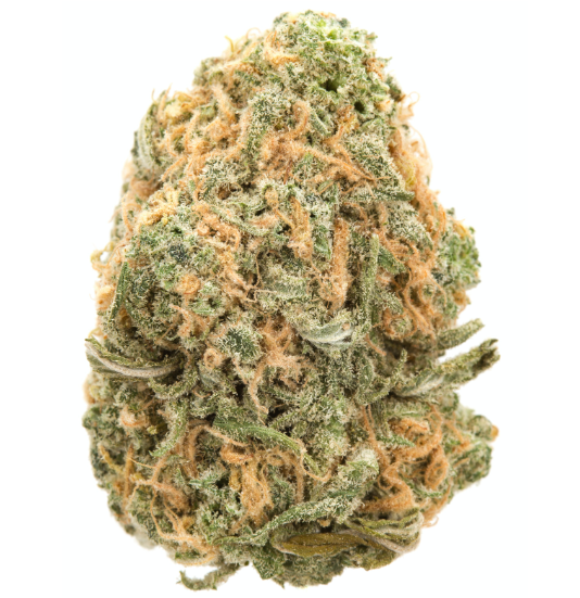 Untitled | Blue Dream (S) | Flower