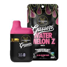 Gassers AIO Watermelon Z