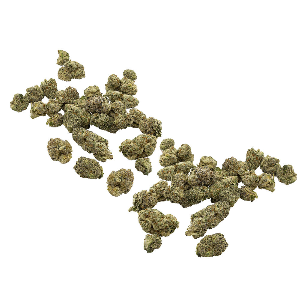 Community C/O Purple Hills - Chance XXL - Hybrid - 28g