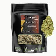 Pot & Head: Tuxedo Edition | Animal Face - Whole Flower - 28g in Colonie