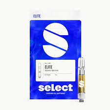 ELITE | PIE SCREAM