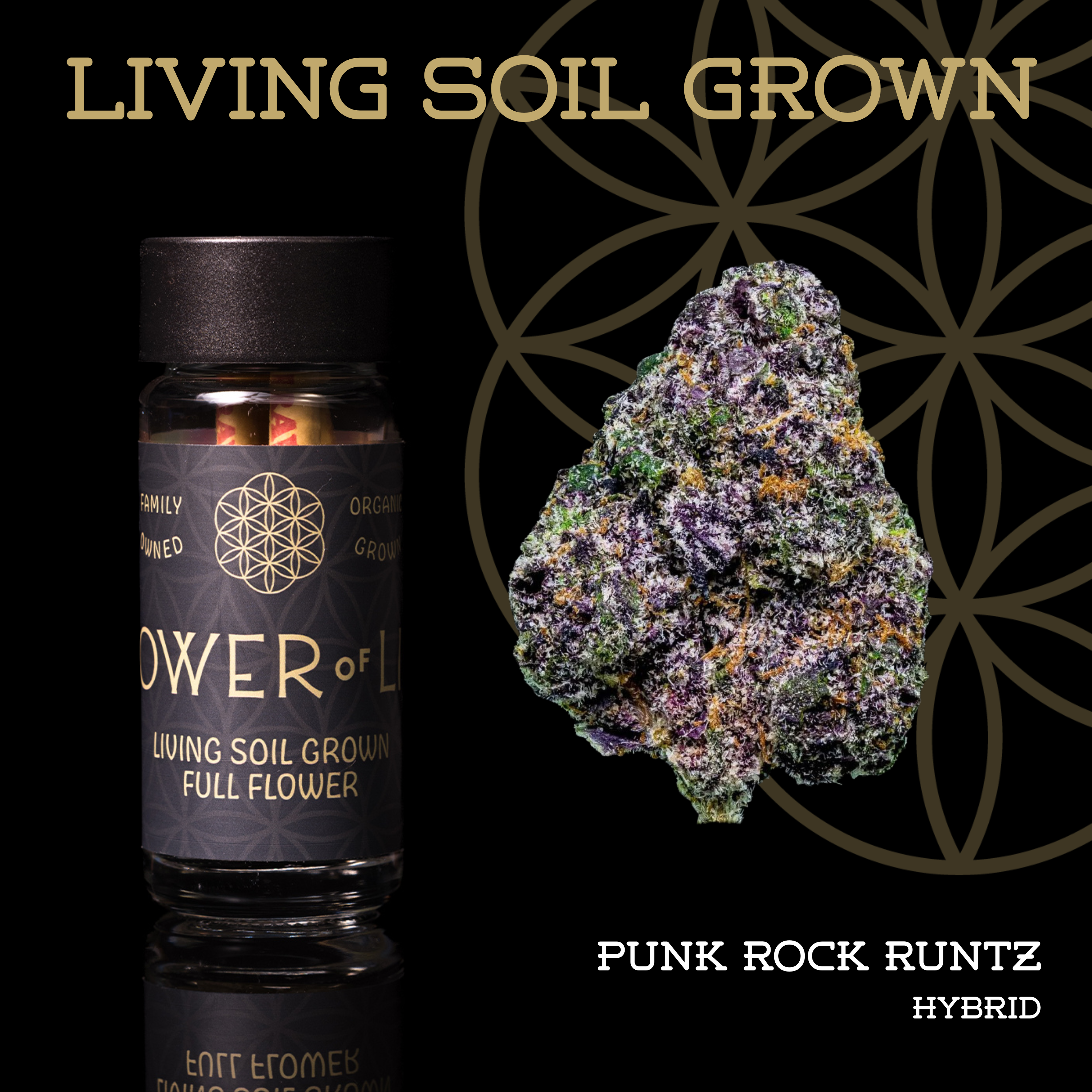 Punk Rock Runtz | Pre-Roll 5-Pack | 2.5g | Living Soil