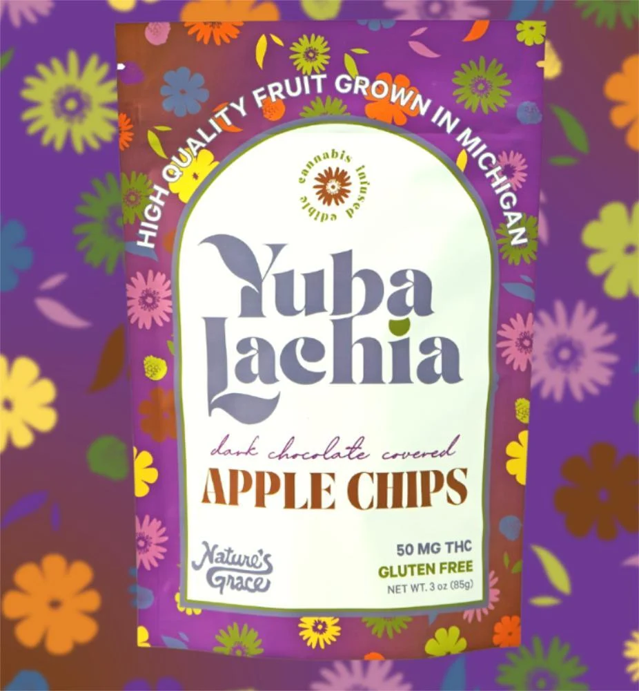 50mg: Dark Chocolate Apple Chips