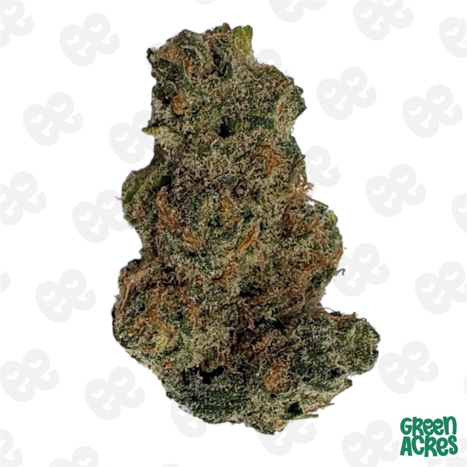 (H) Common Citizen: Blue Dream Smalls (S)