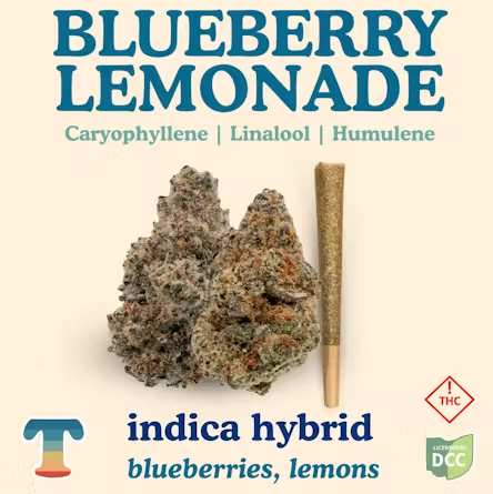 Blueberry Lemonade