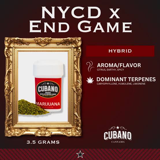 Nycd x Endgame