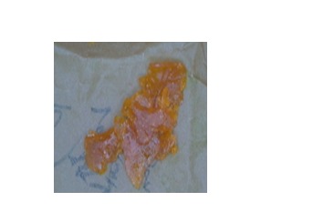 Lion Lady Gaganja Shatter