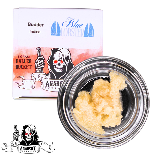 BLUE LOBSTER | INDICA | BUDDER BALLER BUCKET REC