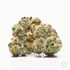 Bulk Flower - Gelato Mintz