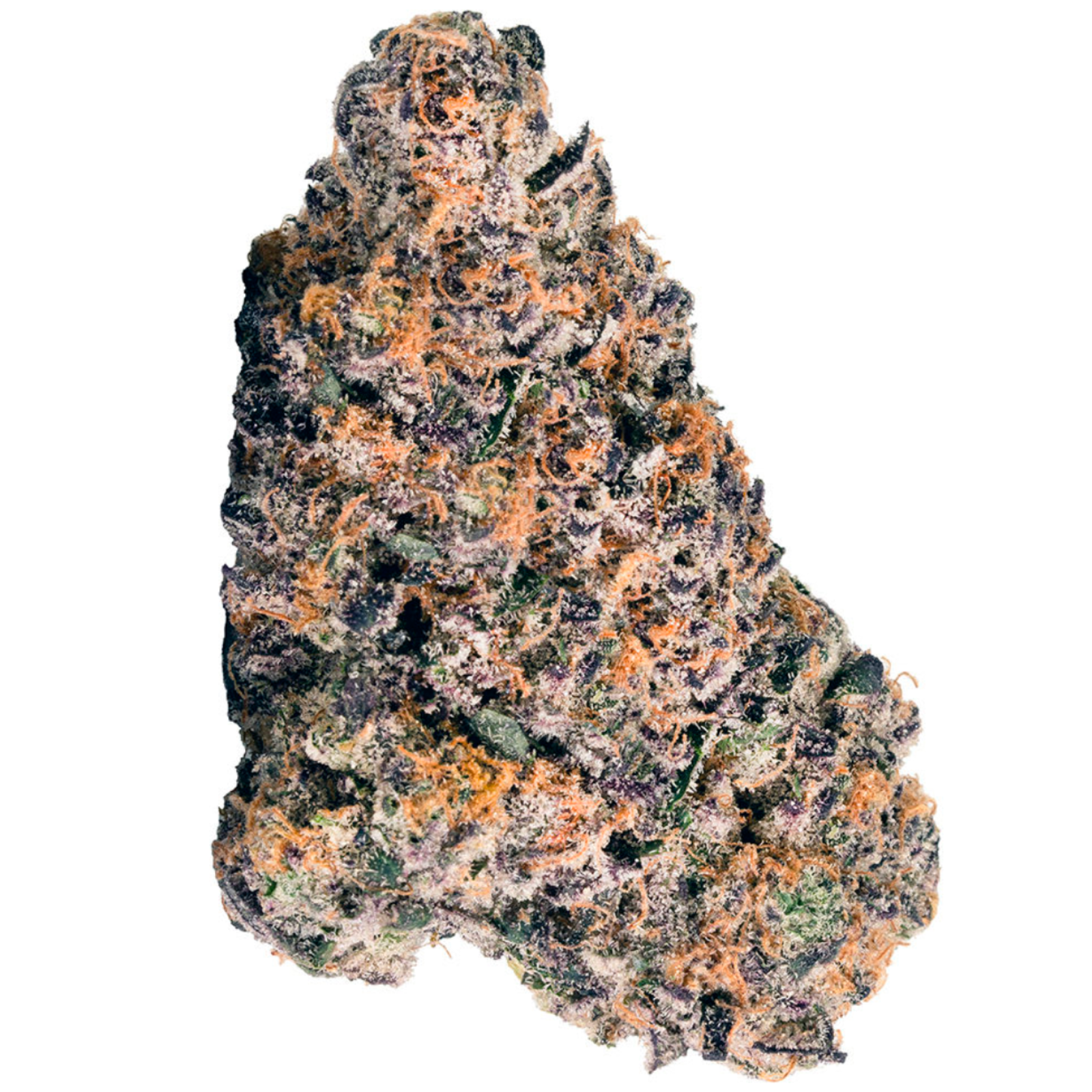 Rainbow P (Grand Blueberry Pie & Zktlz) | 14g