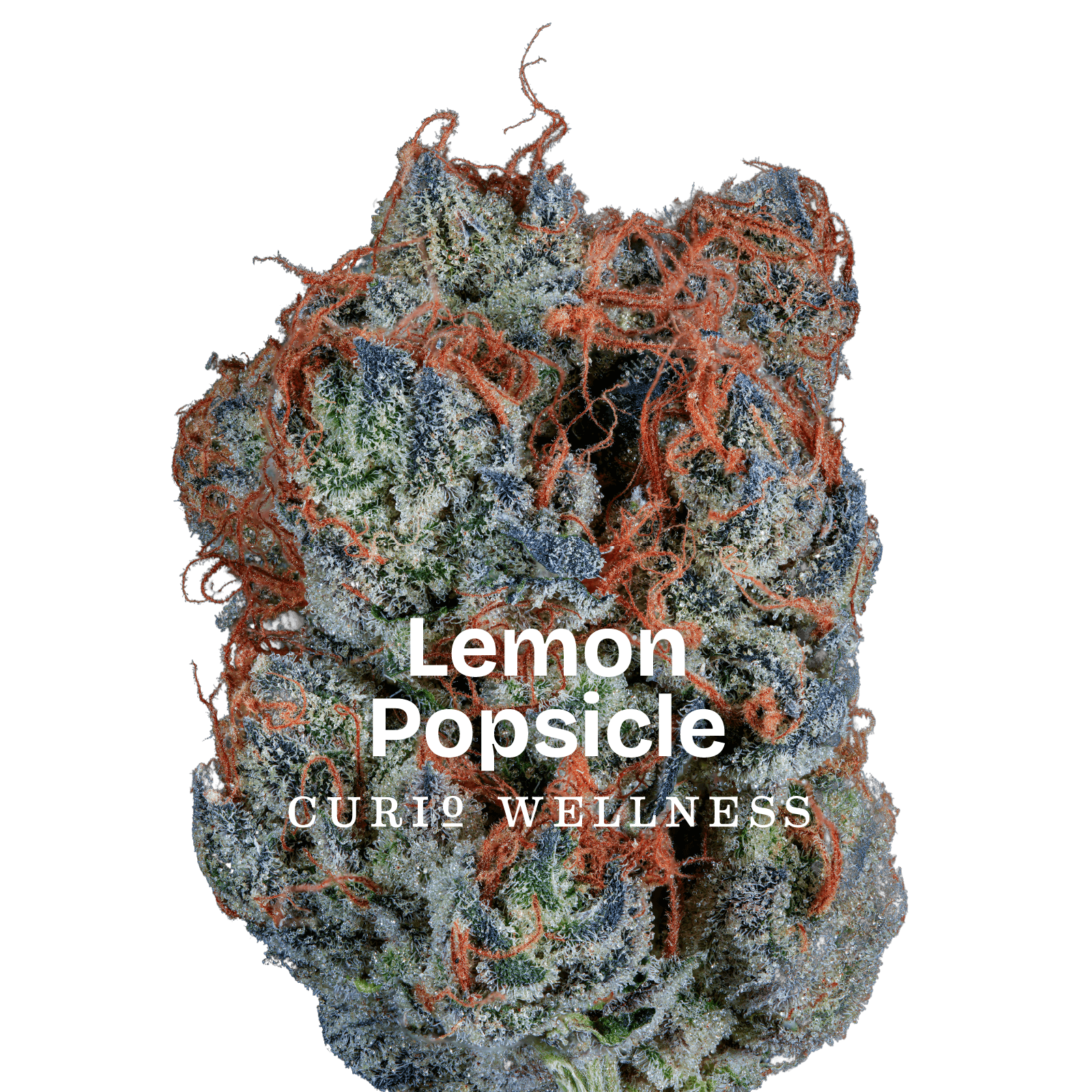 Lemon Popsicle | 28g