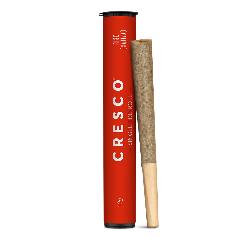 GOVERNMINT OASIS - PRE-ROLL
