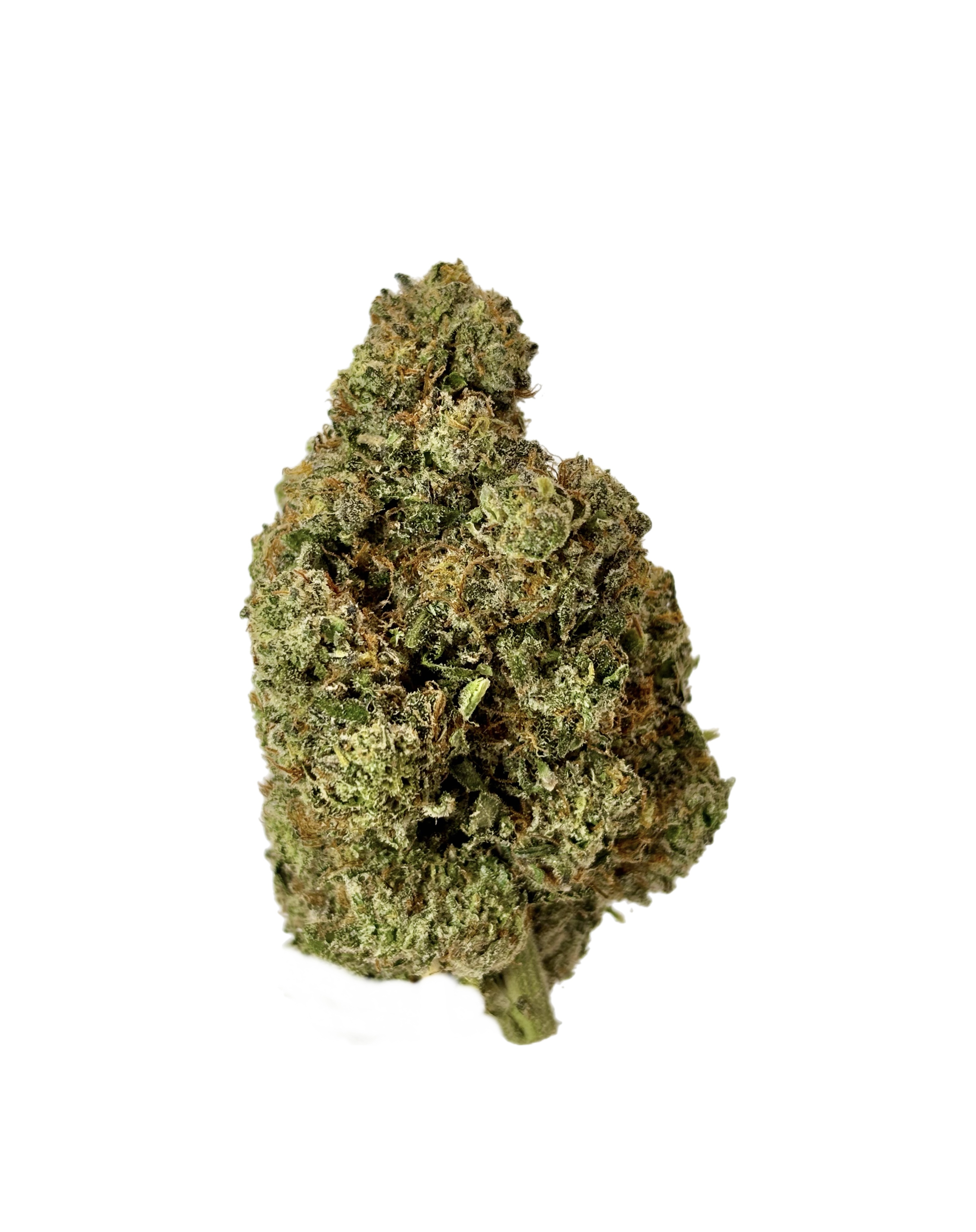 RedFox Cannabis | Oreo Blizzard | Bulk Flower | Purple Tier