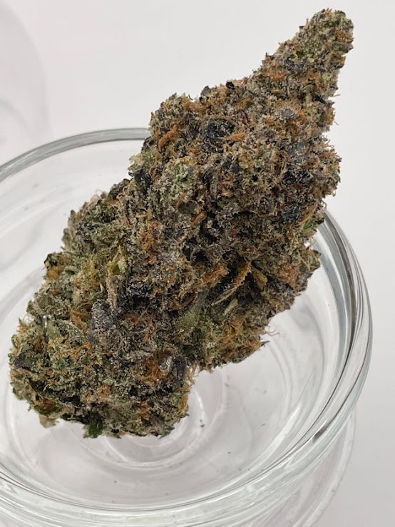 Black Sheep Peach Goblin