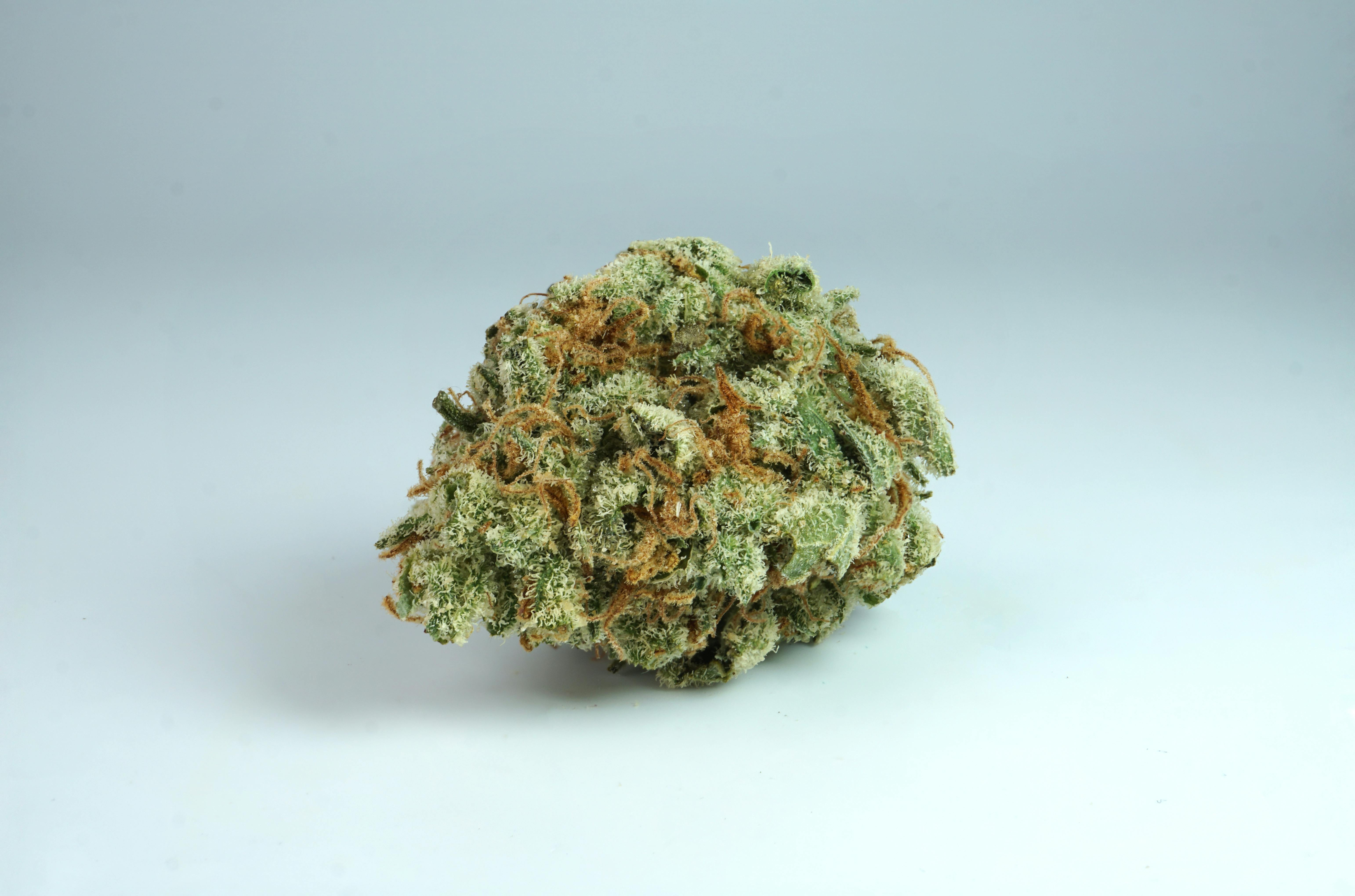 Blue Cheese