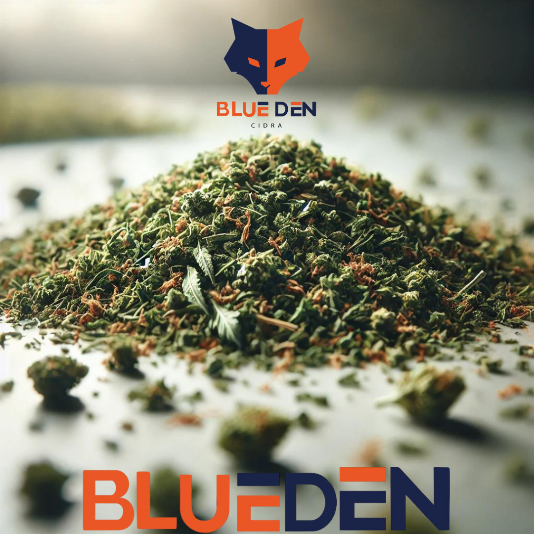 GPR | Da Caze | Trim