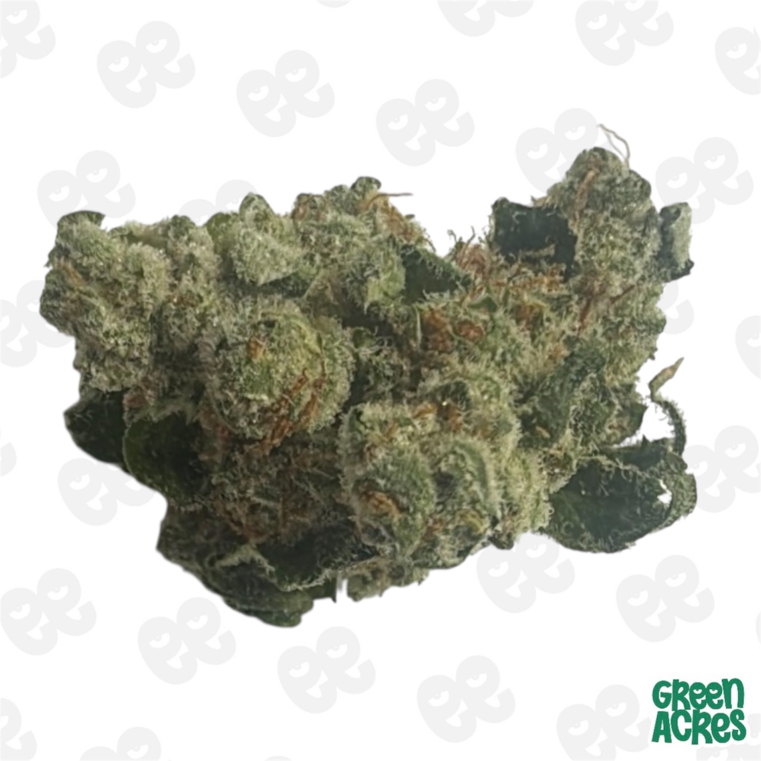(H) Superb: Papaya Bx (I)