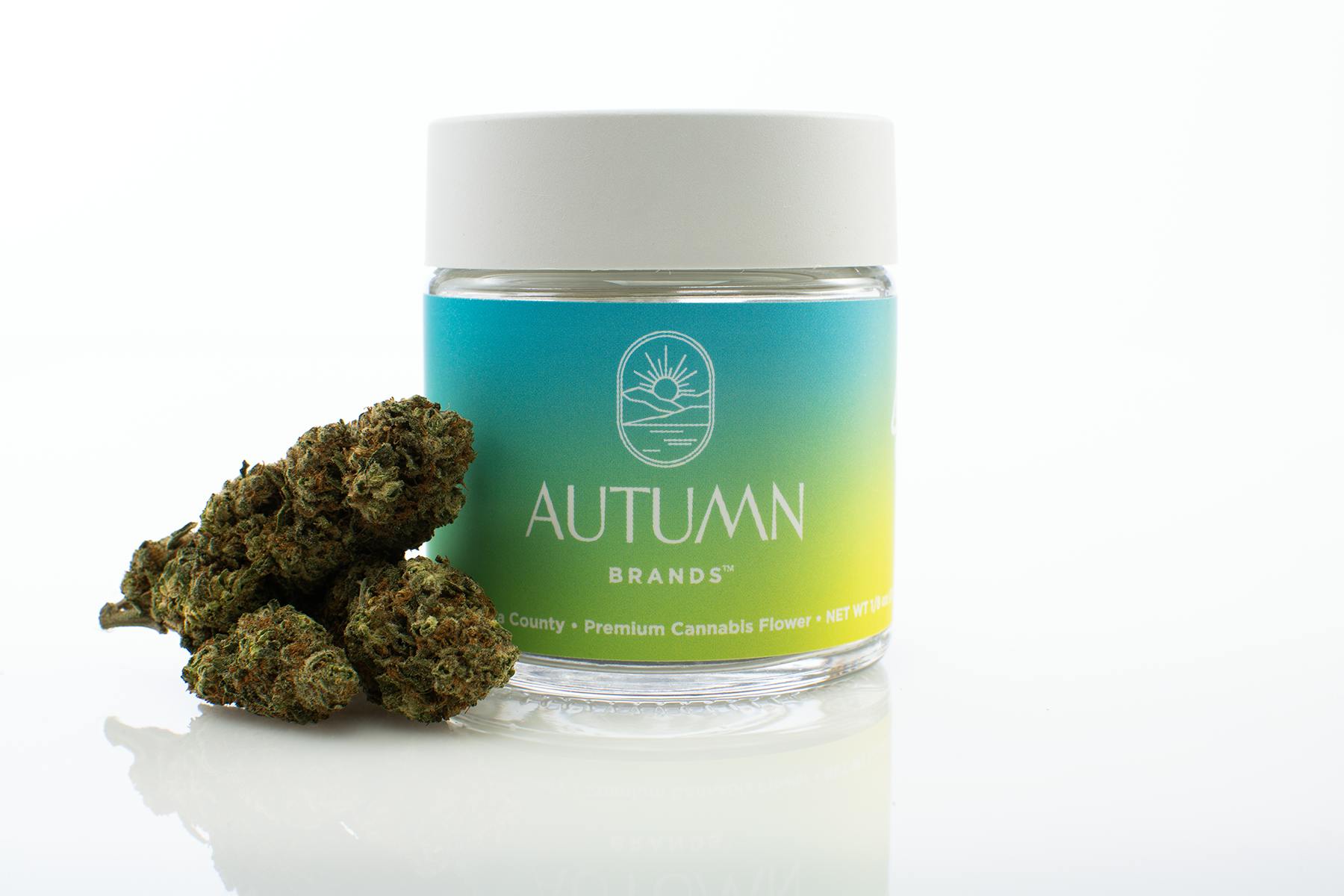 Autumn Brands — Mango Haze
