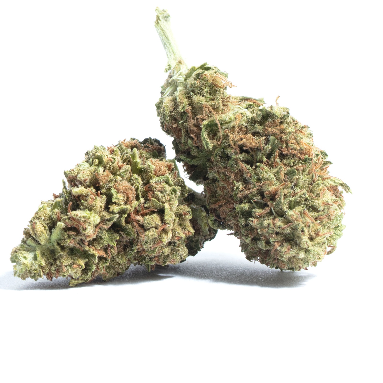 Double Dip Strawberry Buds