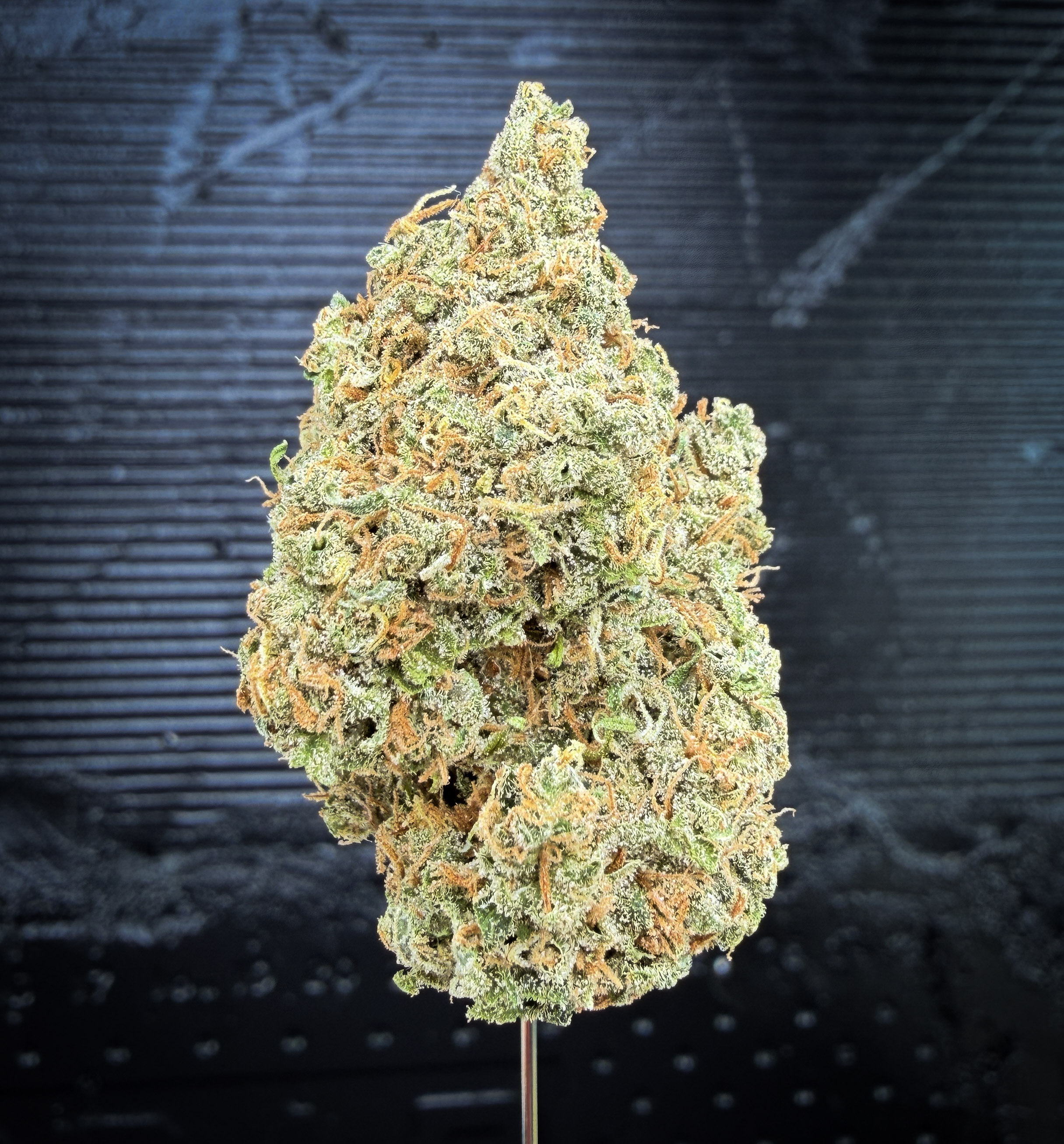 Durban Poison