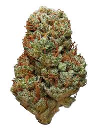 The Essence Dosilato Flower