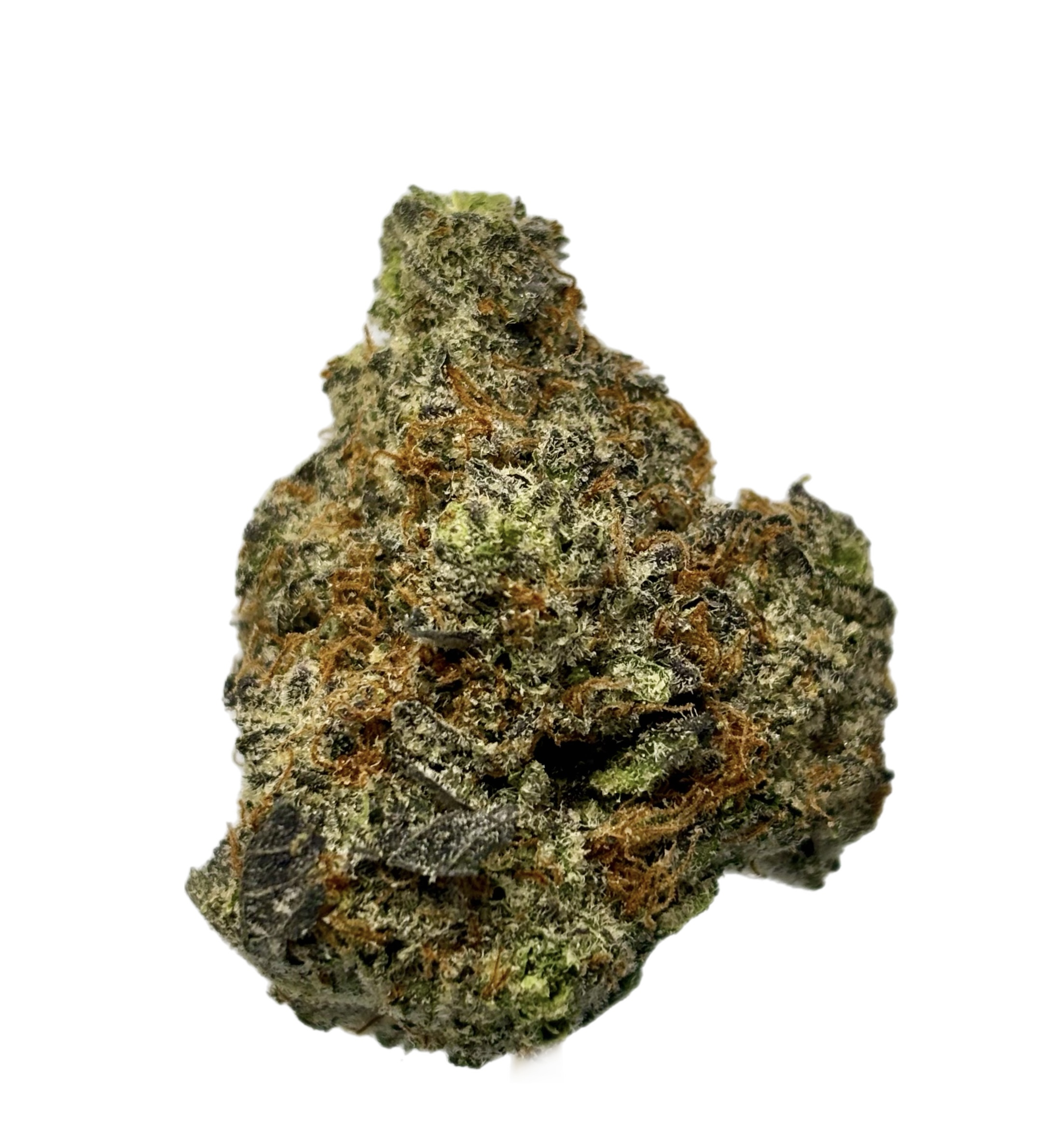 Northwoods | Sherbz #7 | Bulk Flower | Purple Tier