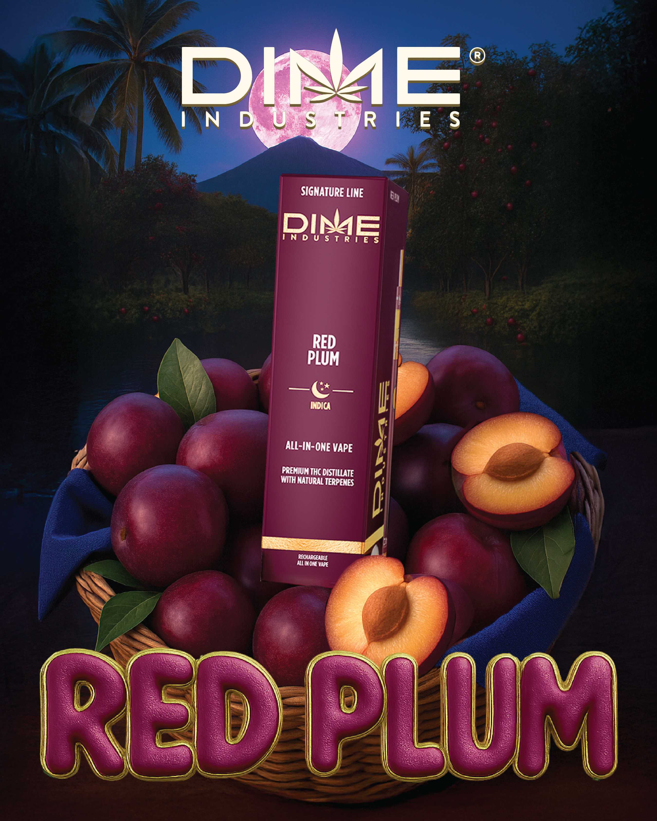 Red Plum | DIME | Disposable Vape
