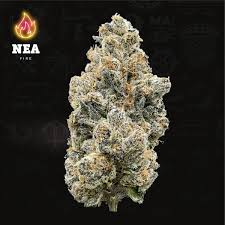 Bufo | 3.5g