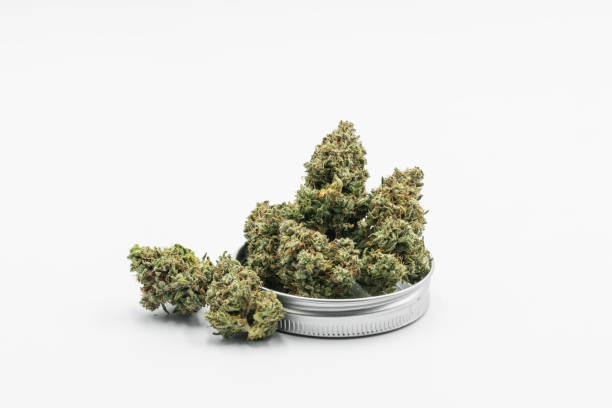 DELI - Common Citizen - G13