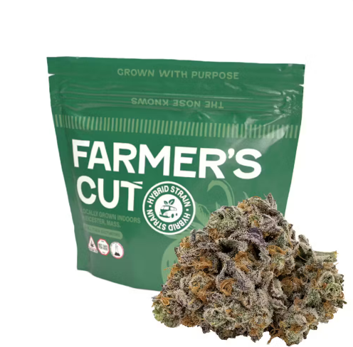 Platinum Garlic | Popcorn Flower | 14g