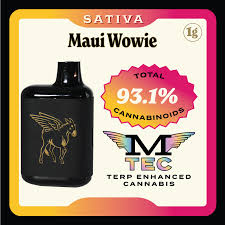 Disposable Vape Maui Wowie