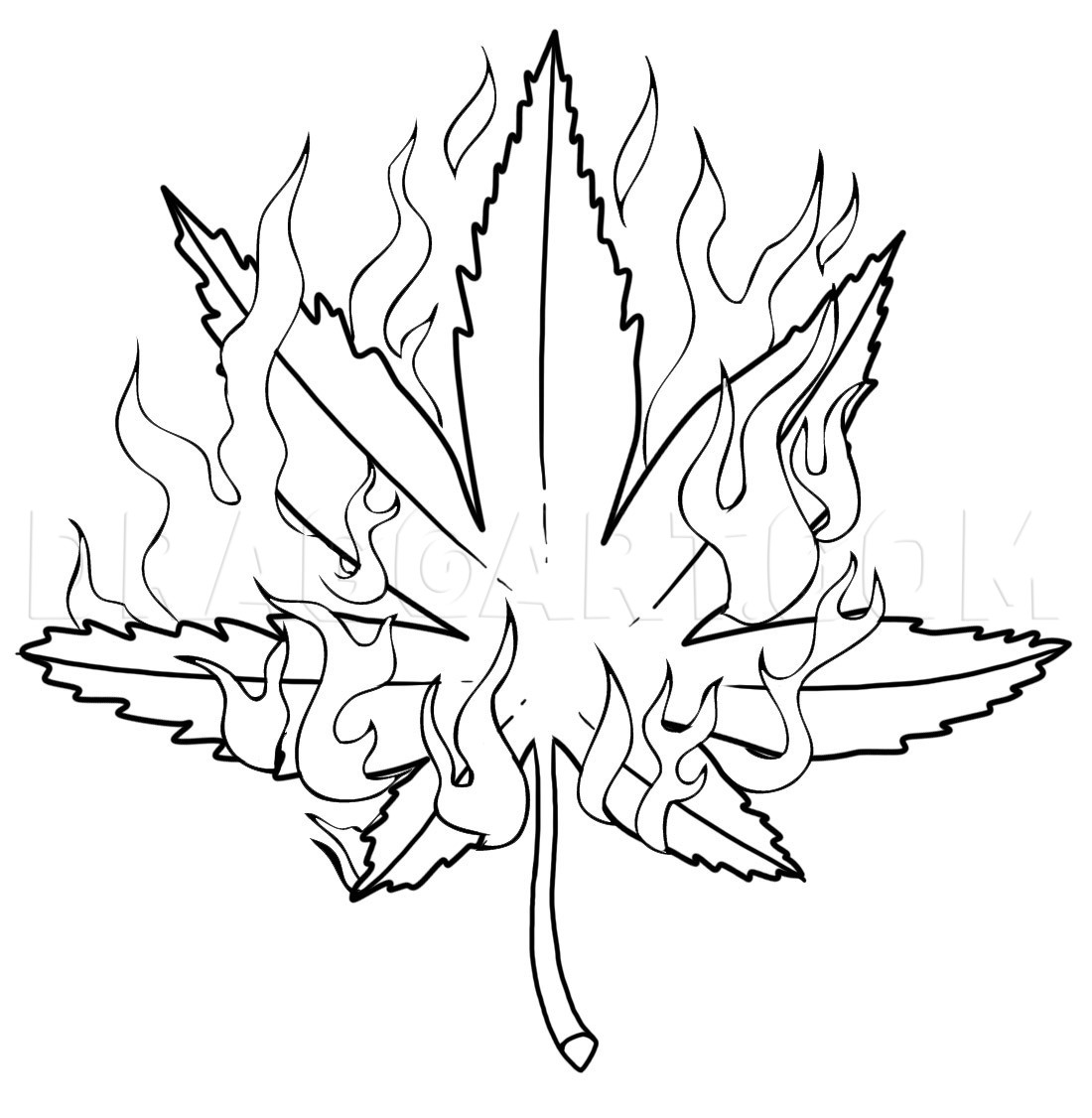 Green Fire Gardens: Black Cherry Punch