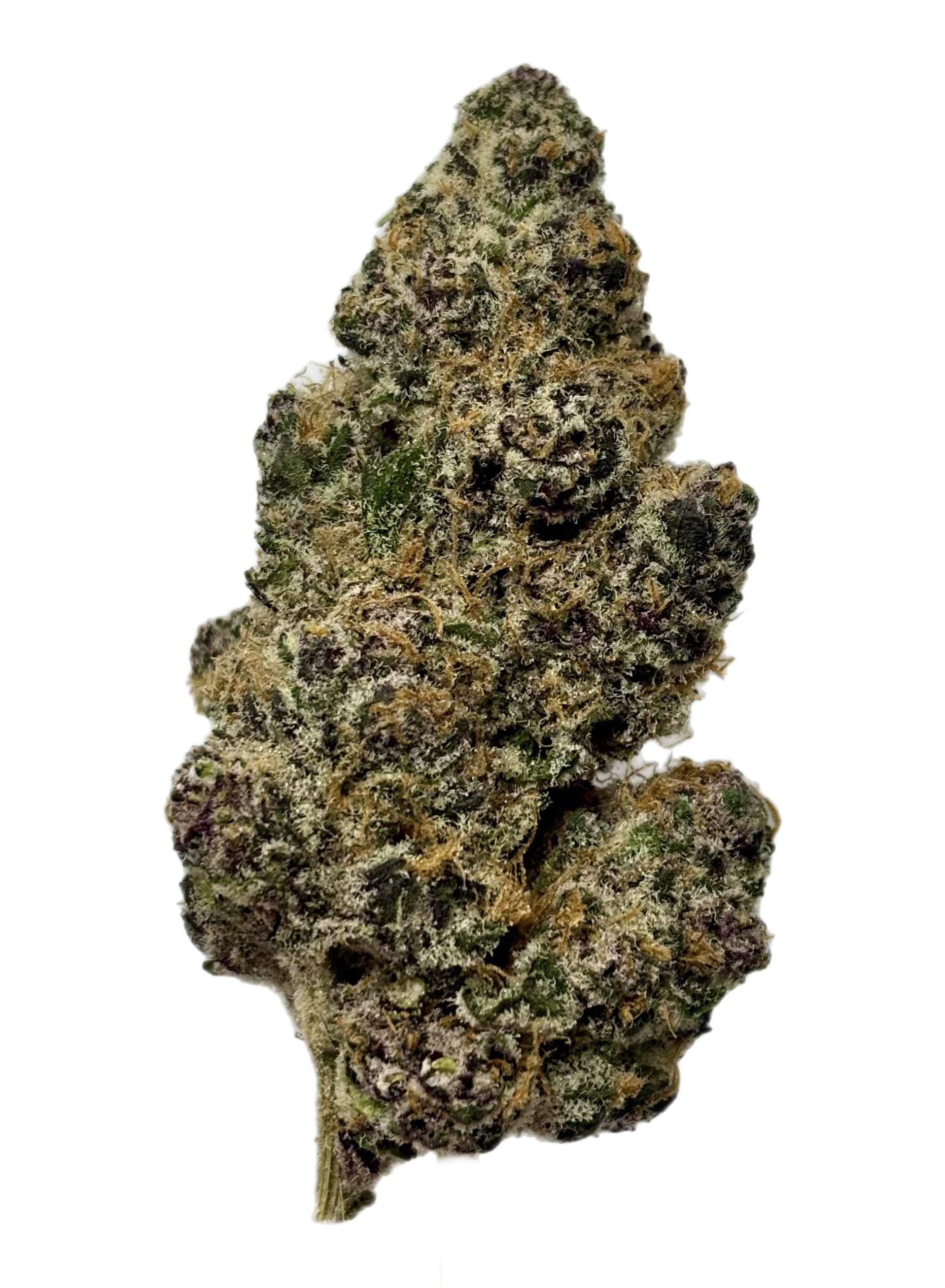 Northwoods | Zupa | Bulk Flower | Purple Tier