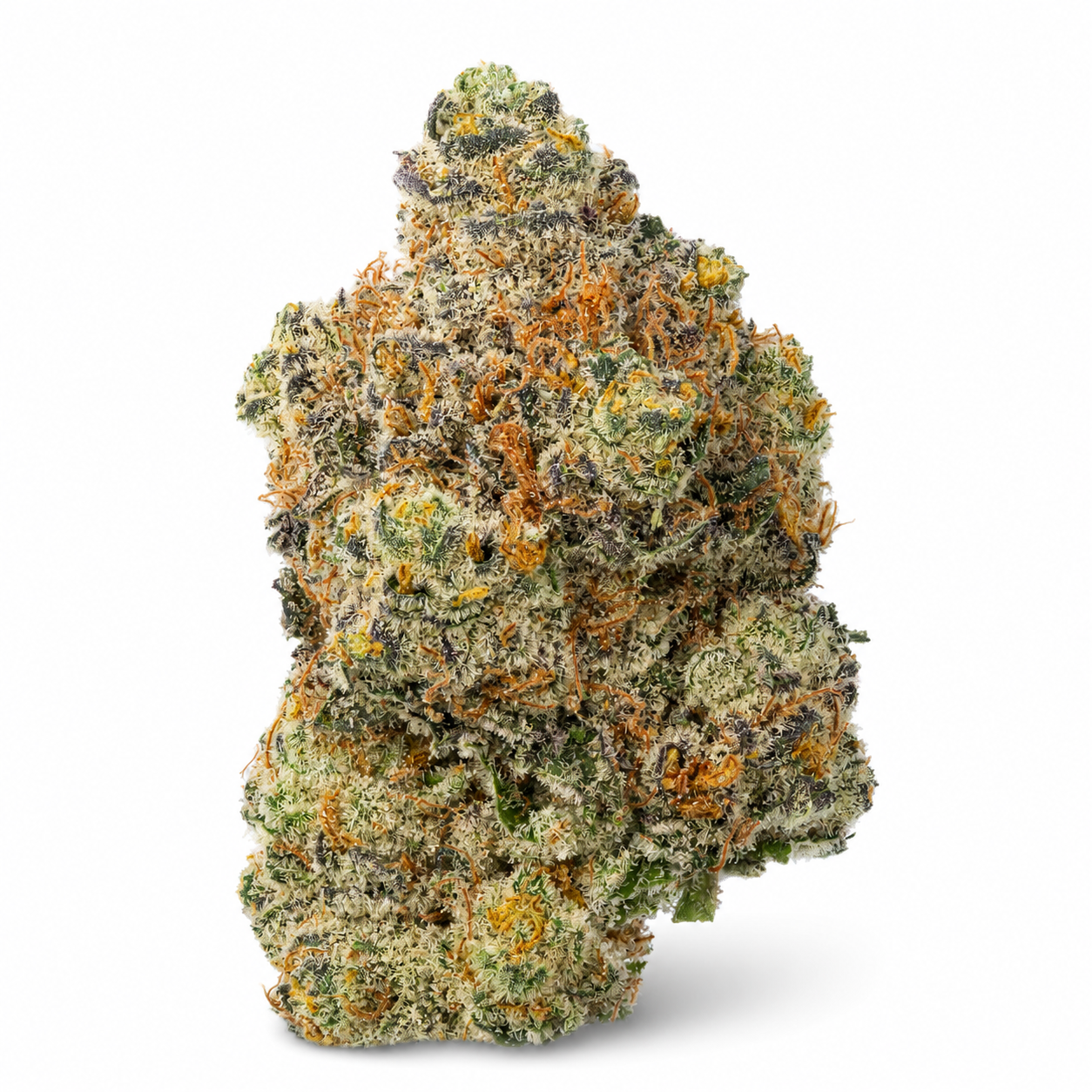Tropicana Banana