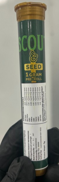 PRE-ROLL KEY LIME JACK (S/H)