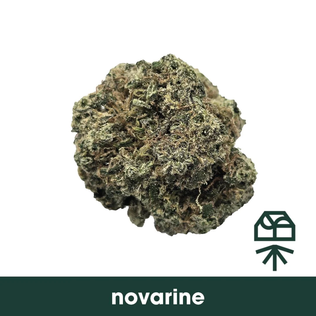 Grassroots | Novarine (Sativa)
