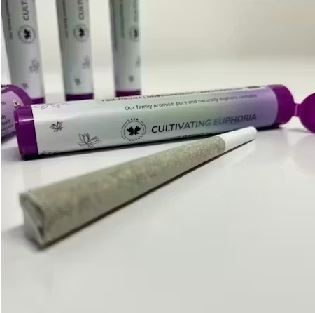 1G Infused pre-roll "Where's My Bikes?"