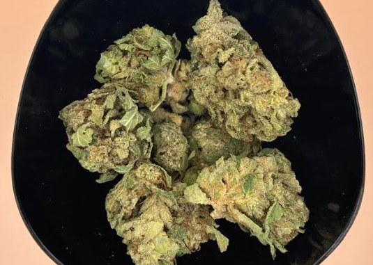 SUNFIRE SOUR | FLOWER