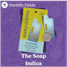 Franklin Fields Penjamin The Soap Live Resin Disposable 1g