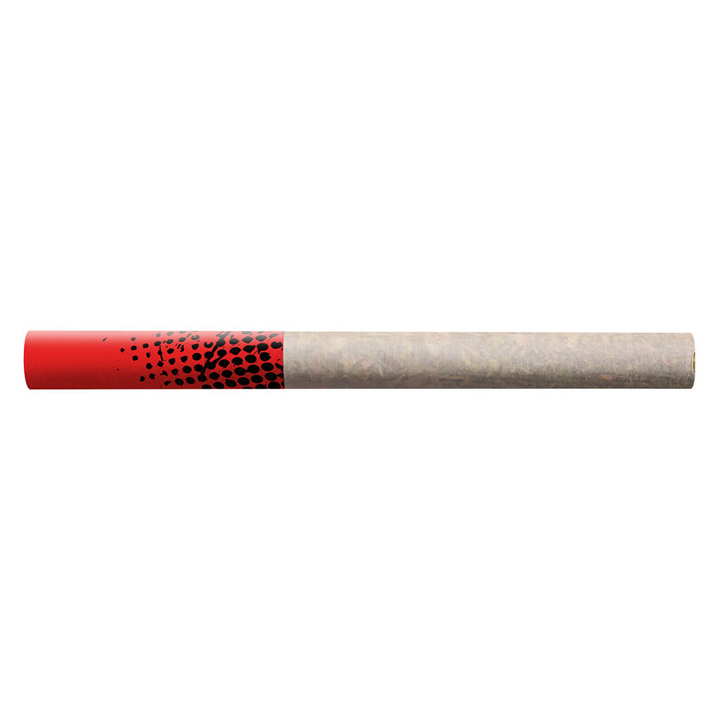 Big Bag O' Joints - Blueberry Dream Pre-Rolls - 20x0.4g