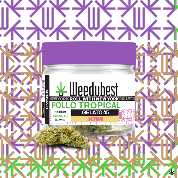 Pollo Tropical | Flower | 3.5g