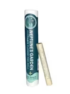 Nightmare Runtz - 1g pre-roll